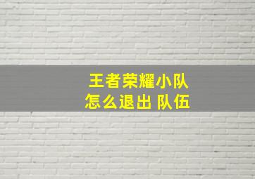 王者荣耀小队怎么退出 队伍